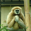 ２０２２／０６／１０　東武動物公園