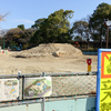 鶴舞公園 子供のひろば再整備 鋭意工事中！「山の砦」がどうなるか…