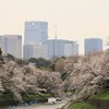 千鳥ヶ淵の桜を満喫！見どころとおすすめの散策ルートを紹介｜2025年開花状況、見頃、ライトアップ情報（東京都千代田区）
