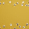【アメリカ】英検2次試験の流れと子どもの面接体験談