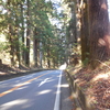 歩き旅のスケッチ［日光道中］３６・・・鉢石宿へ