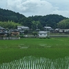 田園風景
