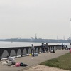 半田店発　武豊緑地公園調査に行ってきました