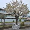 (巻四十四) 自分の非認めて贈るヒヤシンス(長谷川拓海)