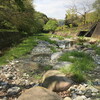 井戸尻の川面に降りて