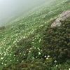 ⛰リベンジ富良野岳1912m