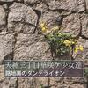 路地裏のダンデライオン　配信開始