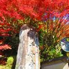 雷山千如寺の秋色！