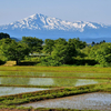 東北の山を眺める３／秋田から見た鳥海山
