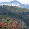 嵯峨野、大覚寺門跡