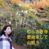京都滋賀 季節を変えて 二度三度（ブログタイトルまで五七五^ ^）