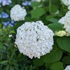 不思議なことに