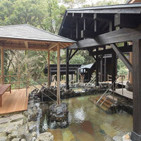 天山湯治郷 箱根一の日帰り温泉 天山 一休 温泉 元旅行会社社員の徒然日記 旅行 天山湯治郷 箱根一の日帰り温泉 天山 一休 温泉 元旅行会社社員の徒然日記 旅行