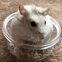 不妊治療とらくがきと