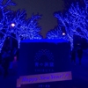 青い光の代々木公園イルミネーション「青の洞窟 SHIBUYA」