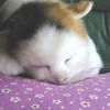 雨の夜に思うこと。。。