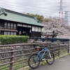 ようやくサクラ🌸開花したので花見ライドの週末