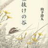 山下澄人「壁抜けの谷」