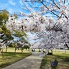 日記「落合公園でお花見」＠愛知春日井