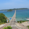 サイクリング　バードウォッチング　角島　トビ　ミサゴ　環境