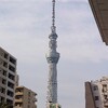 賑わい…