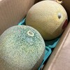 本ブログ初登場！ふるさと納税で青森県鰺ヶ沢町から「メロン 2個」が届きました！