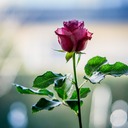 ＊＊ごちゃまぜパーティー＊＊