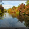 秋の写真を撮る（６）雲場池（24mm）