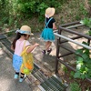 平日の公園で驚いたこと