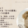 羊毛フェルト上達講座: 劇的に技術を上げる「5つの要素」その２- 基本を重視
