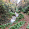 ◆11/12         晩秋の温海嶽へ③…二ノ滝～三ノ滝