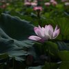 HP更新のお知らせ