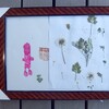 創作活動の作品紹介　タイトル「春」その4　ヒメシャリンバイやアゲハチョウ
