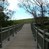知床の高架木道