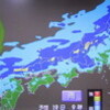 「前線梅雨」が停滞、カルミアの花が終わり…。