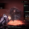 今更ながら、臨界ブラキにソロで行ってみた【MHW:I日記】