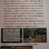 石神井ワニ疑惑、ついに解決?!