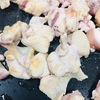 waltzな鶏肉のタンパク質は最高＼(^ω^)／