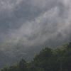 雨の現場から