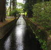 真実の歴史妄想隊参上❣3つの富士浅間神社リサーチ