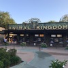 WDW旅行記 2日目②　エクスペディションエベレスト大興奮！のち熱中症？（おまけ：スプリングスで夕飯）