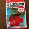 家庭菜園初心者向けの根菜、はつか大根をプランターで育てました♪