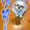 ずっと見てたのね。