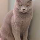 ネガティブOLの備忘録