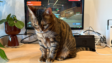 純粋に人生を楽しむことをしてこなかった者の、ゲームと漫画の話