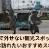 徳島市で外せない観光スポットは？一度は訪れたいおすすめスポット