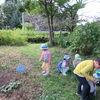 屋敷林での遊び