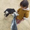 【玉野市】渋川動物公園はふれあえる動物園🎵動物との距離が近くて子どもも大満足です💛