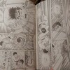 「七帝柔道記」漫画版スタート！初回はネットで読めます