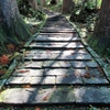 朝日の差し込む石段を登る